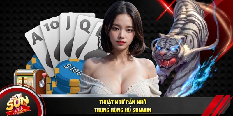 Thuật ngữ cần nhớ trong Rồng Hổ Sunwin